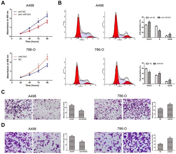 J Cancer Image