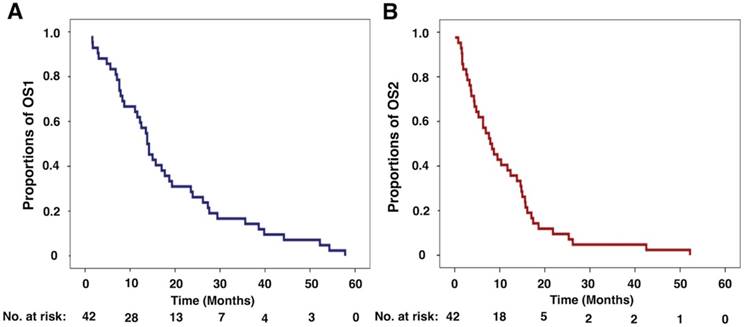 J Cancer Image