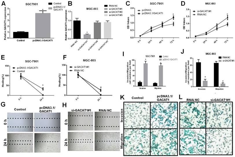 J Cancer Image