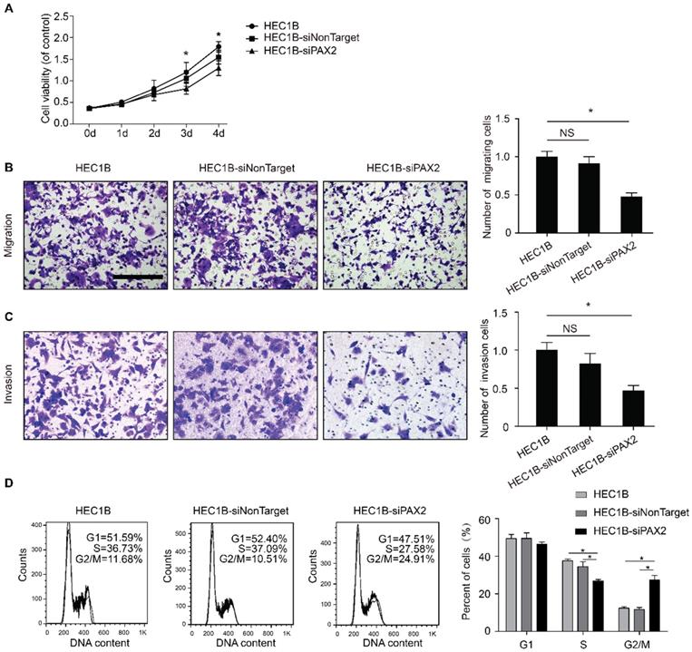 J Cancer Image