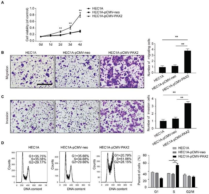 J Cancer Image