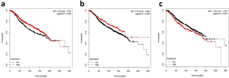 J Cancer Image