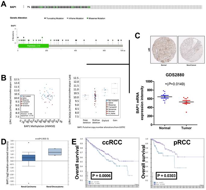 J Cancer Image