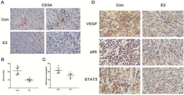 J Cancer Image