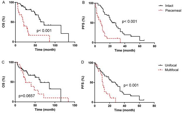 J Cancer Image