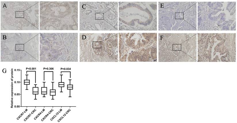 J Cancer Image