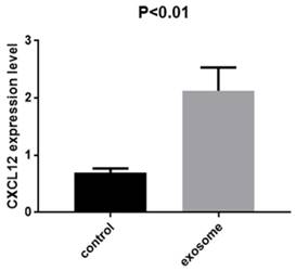 J Cancer Image