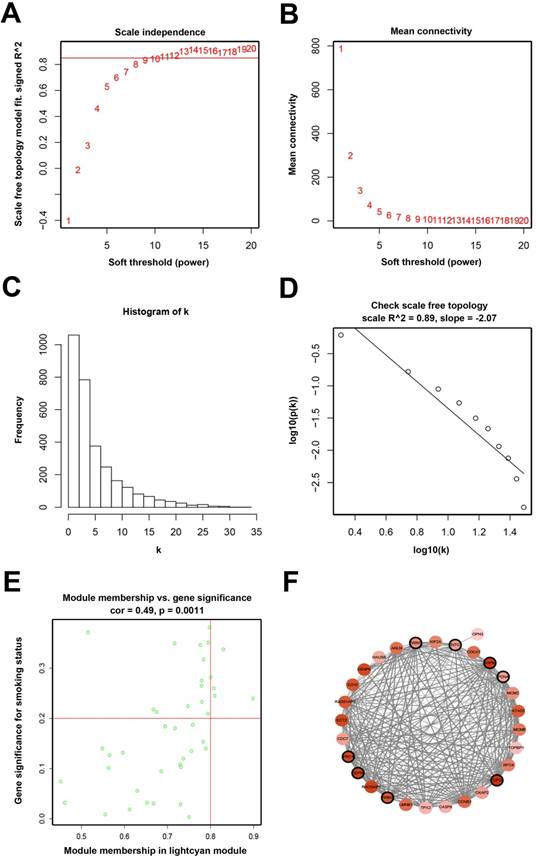 J Cancer Image