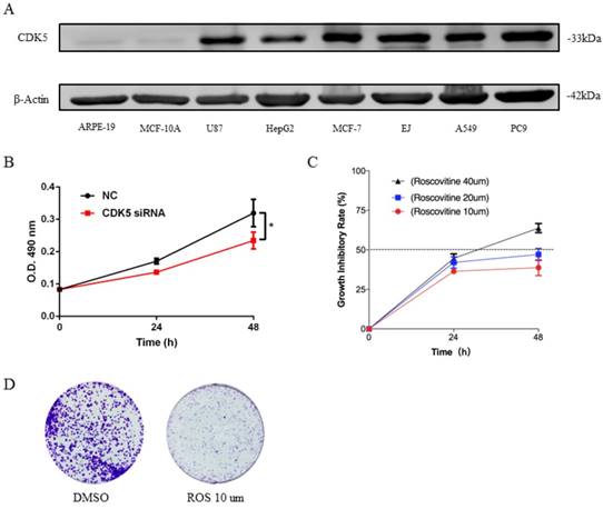 J Cancer Image