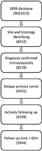 J Cancer Image