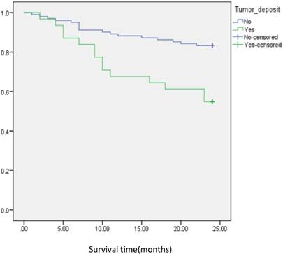 J Cancer Image