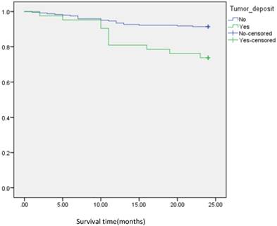 J Cancer Image