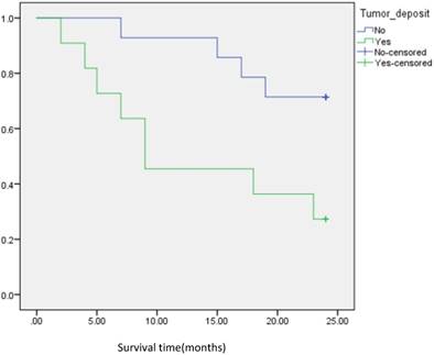 J Cancer Image