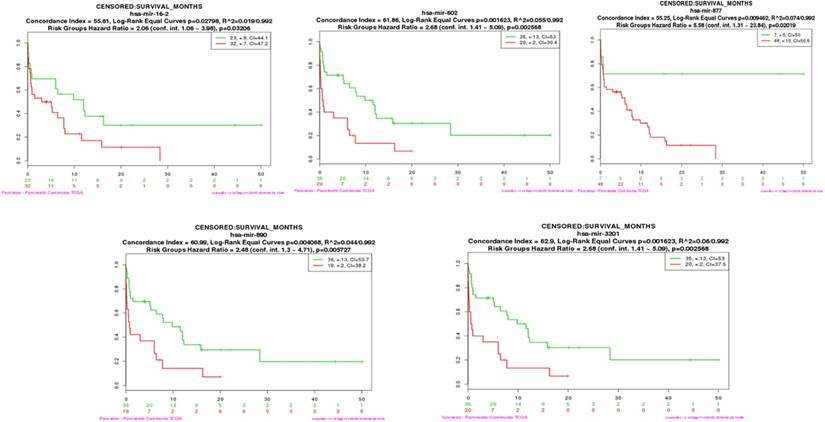 J Cancer Image