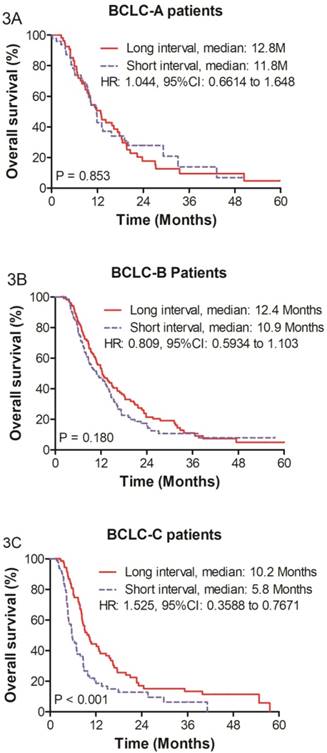 J Cancer Image