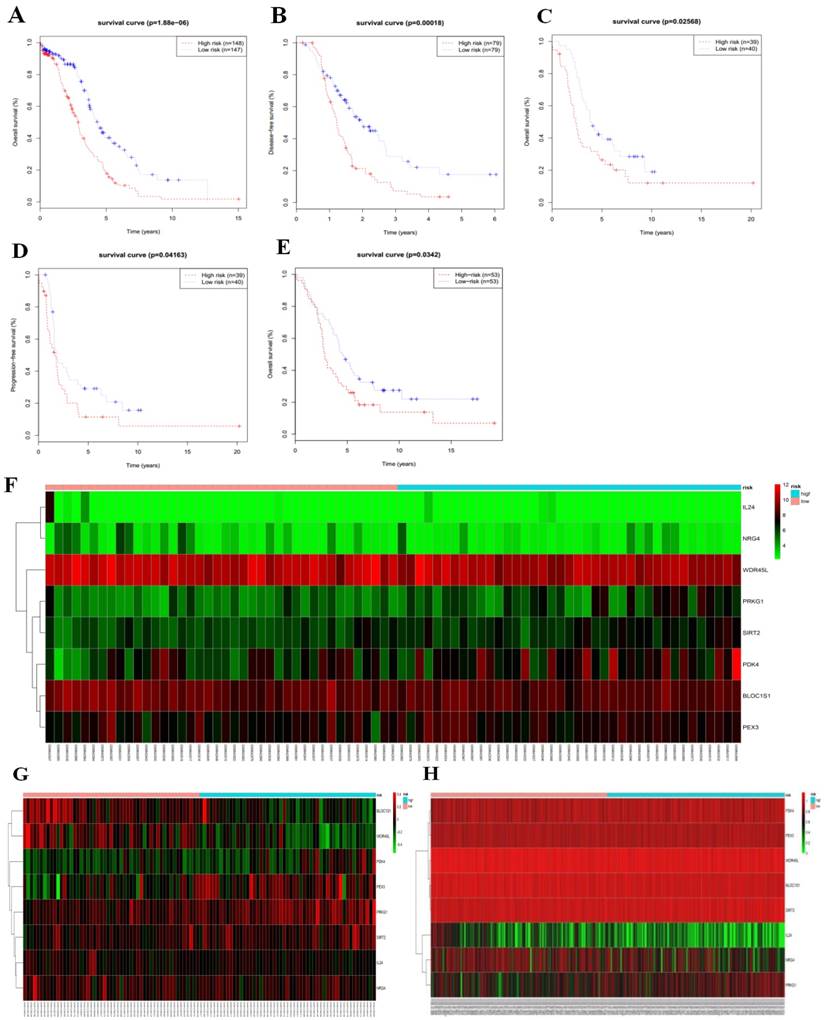 J Cancer Image