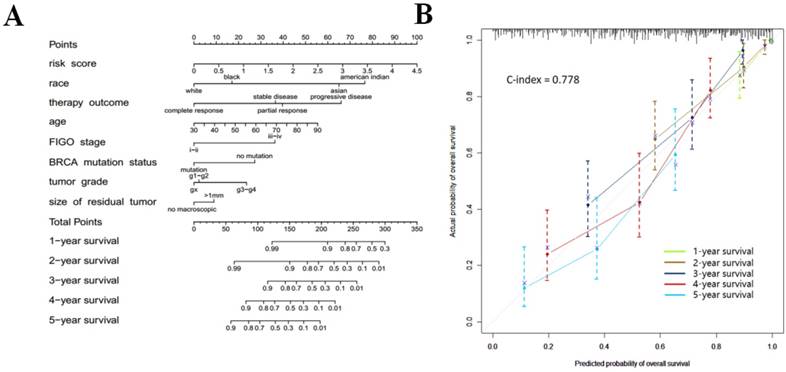 J Cancer Image