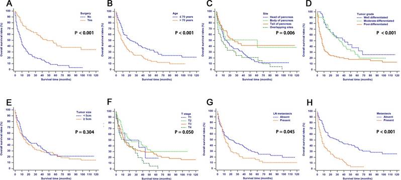 J Cancer Image