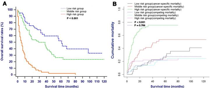 J Cancer Image