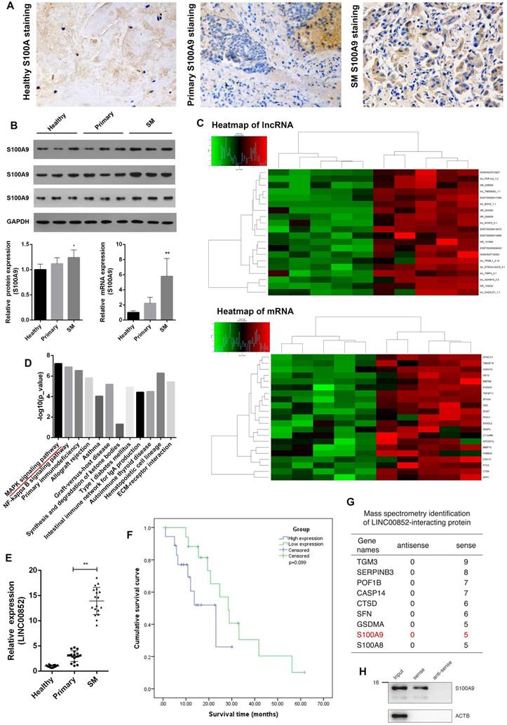 J Cancer Image