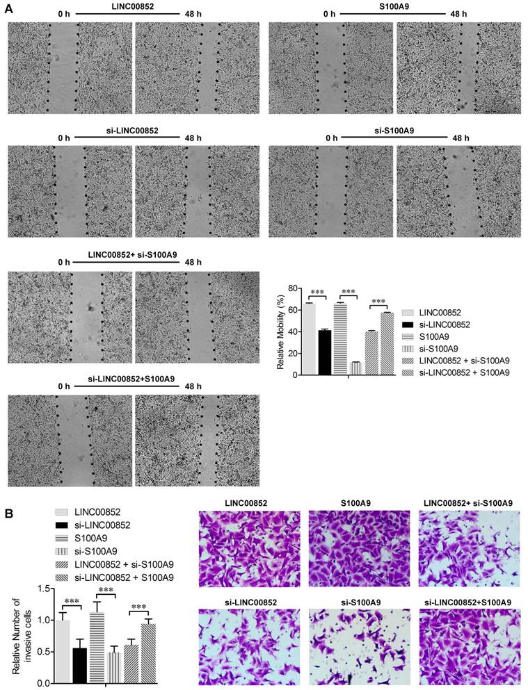 J Cancer Image