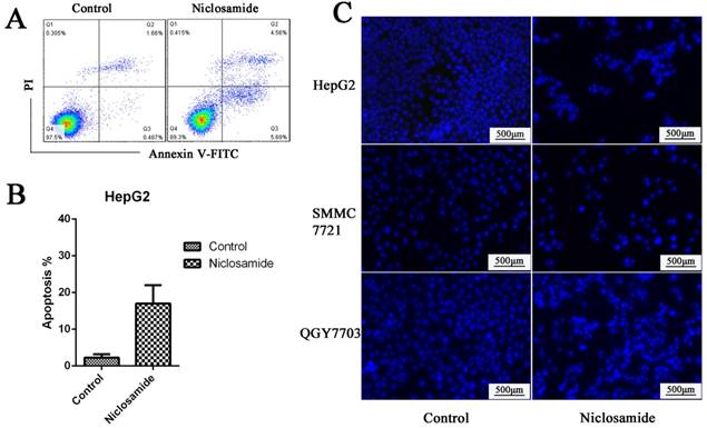 J Cancer Image