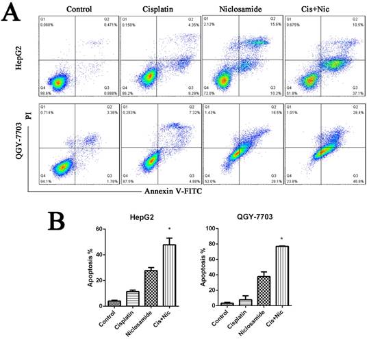 J Cancer Image