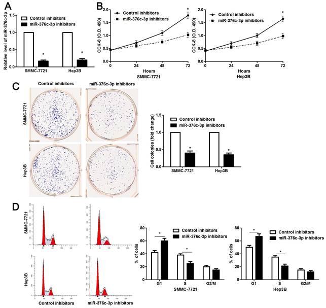 J Cancer Image