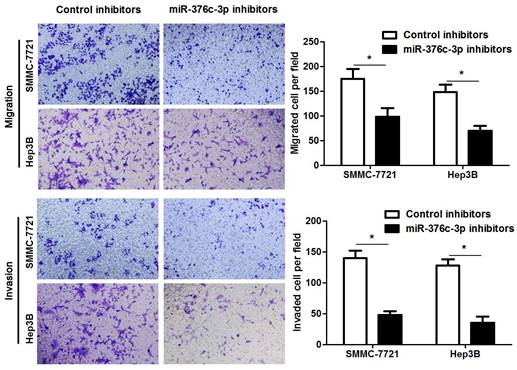 J Cancer Image