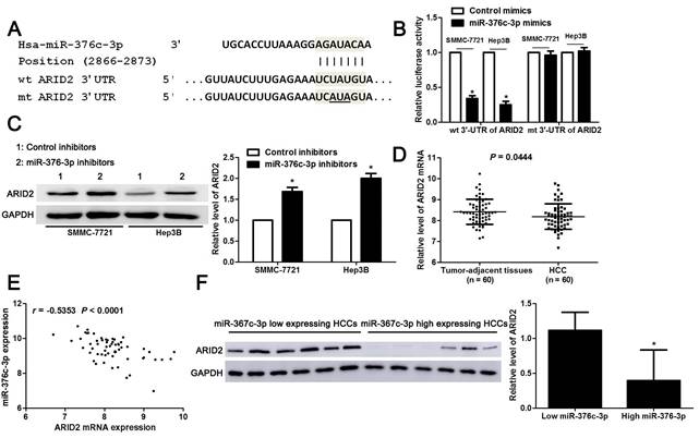 J Cancer Image