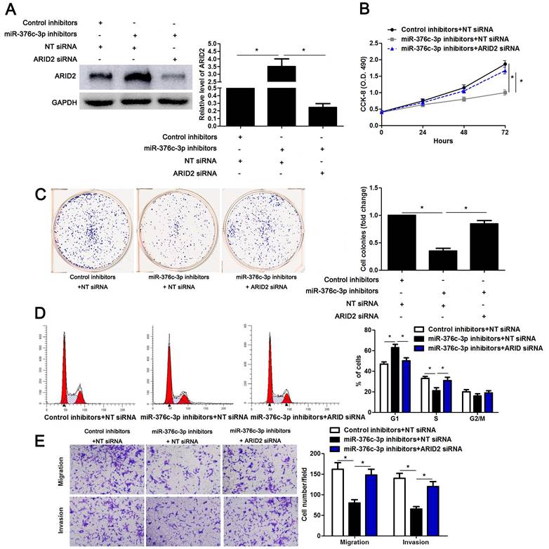 J Cancer Image