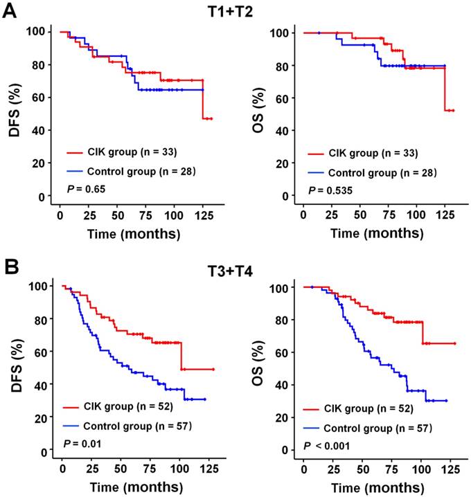 J Cancer Image