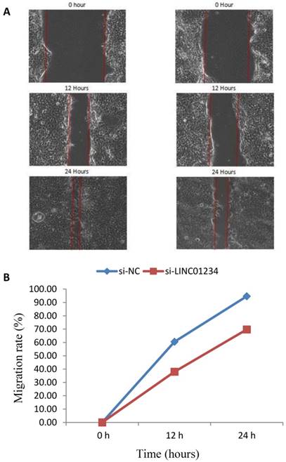 J Cancer Image