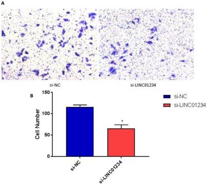 J Cancer Image