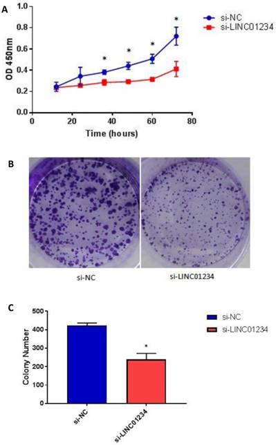 J Cancer Image