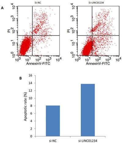 J Cancer Image