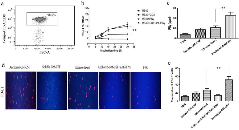 J Cancer Image