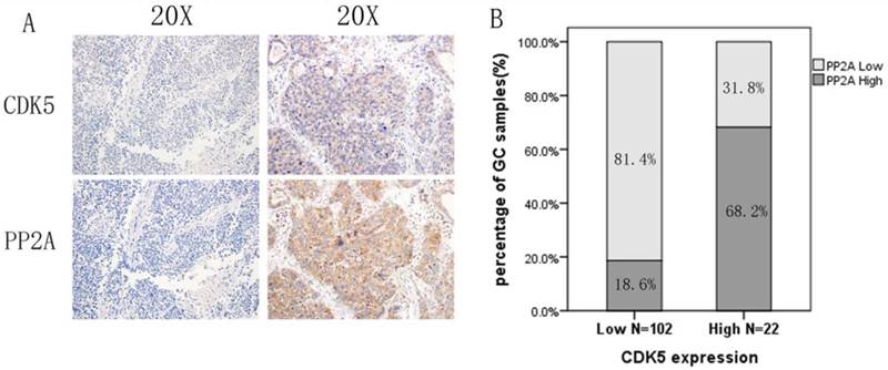 J Cancer Image