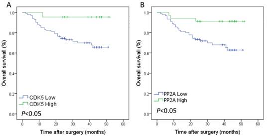 J Cancer Image