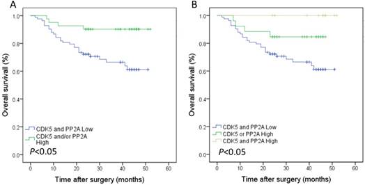 J Cancer Image