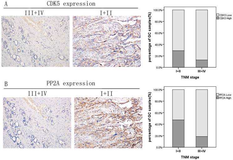 J Cancer Image