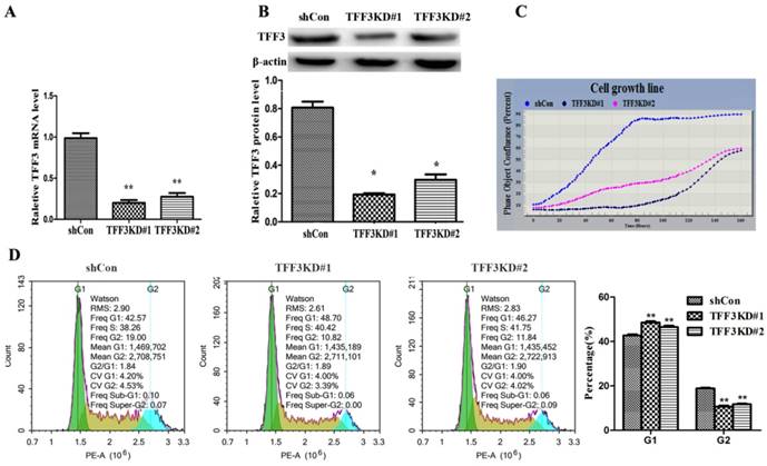 J Cancer Image