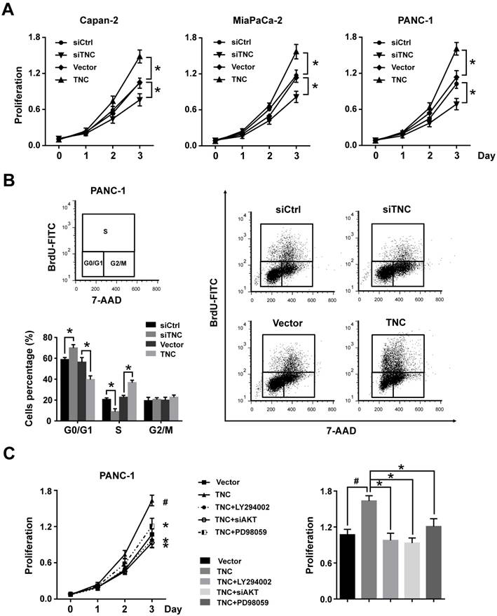 J Cancer Image