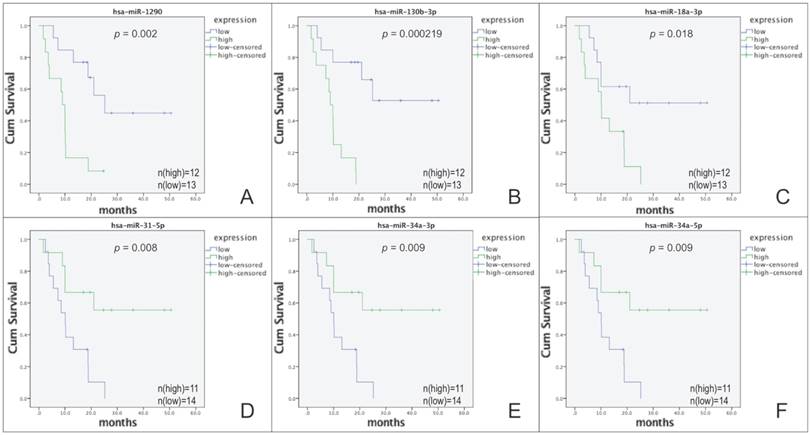 J Cancer Image