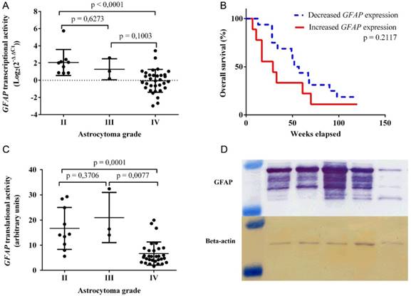 J Cancer Image