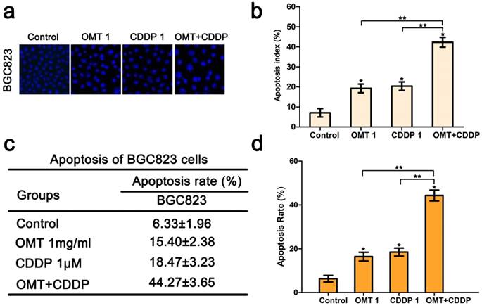 J Cancer Image