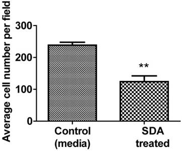 J Cancer Image