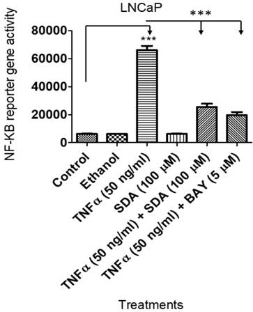 J Cancer Image