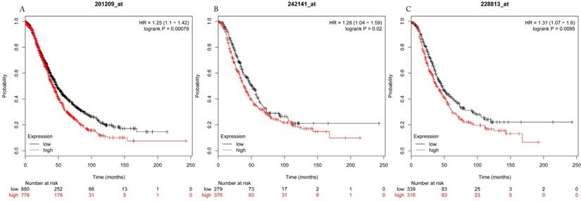 J Cancer Image