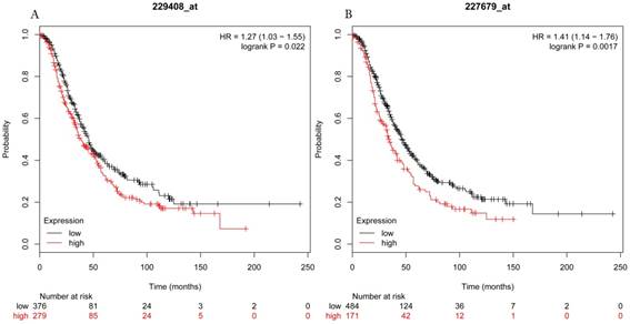 J Cancer Image